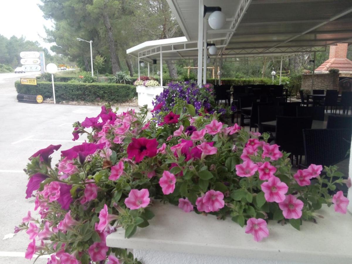 Pansion Restoran Marin Hotel Posedarje Bagian luar foto